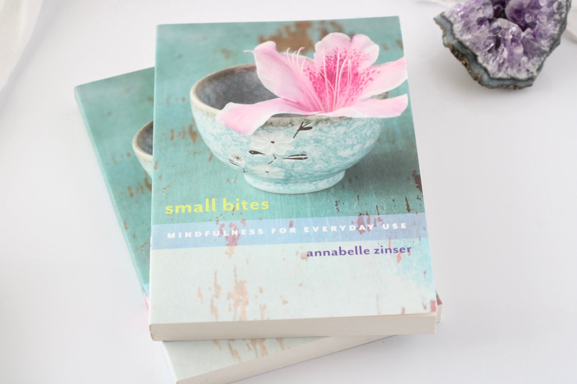 Small Bites: Mindfulness For Everyday Use by Annabelle Zinser
